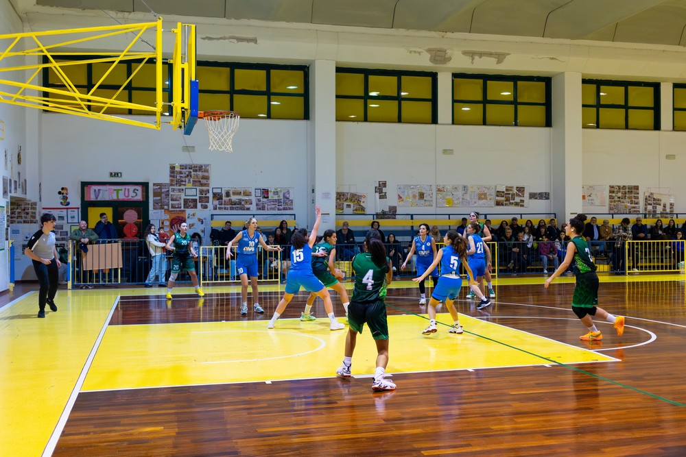 42-102 Basket Erice Foto-30-11-24