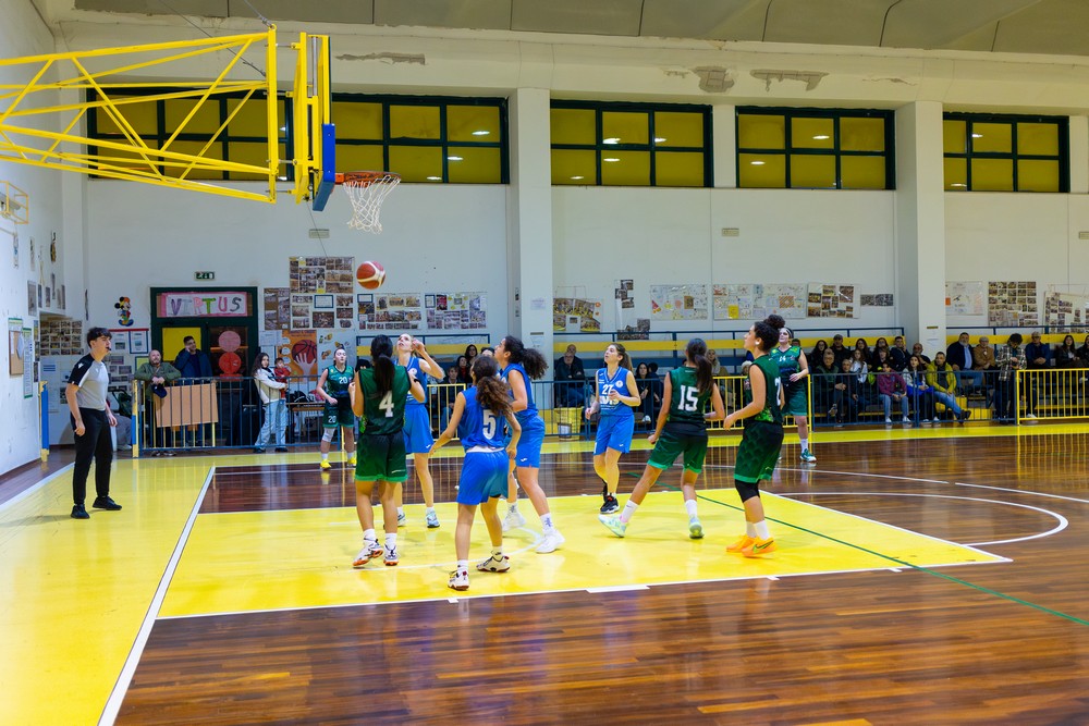 43-102 Basket Erice Foto-30-11-24